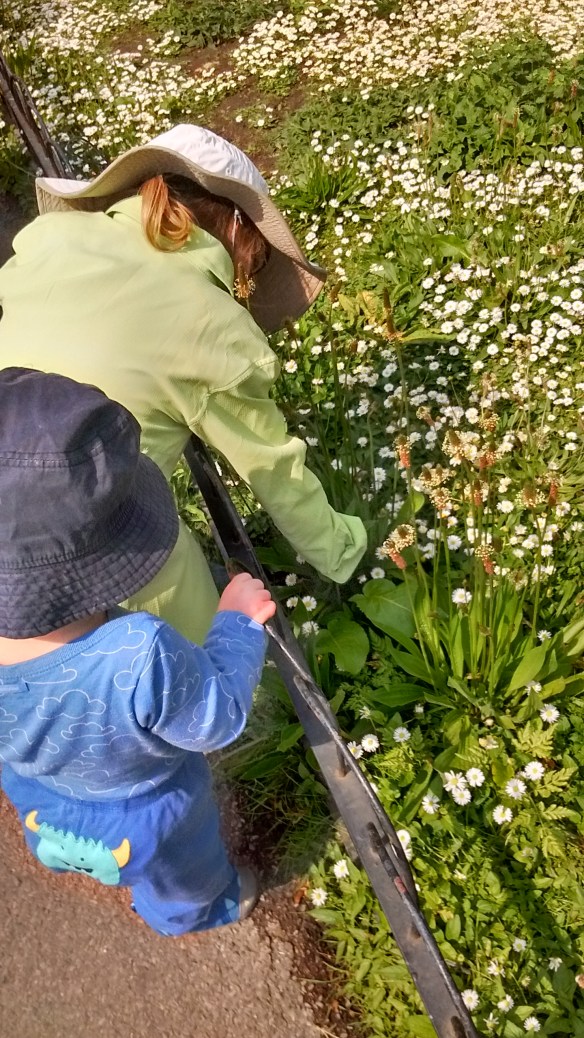 IMG_20180527_052423785_HDR