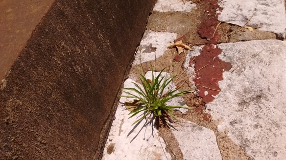 IMG_20180630_121406585