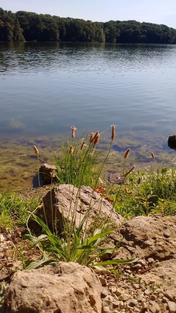 IMG_20180707_165526789