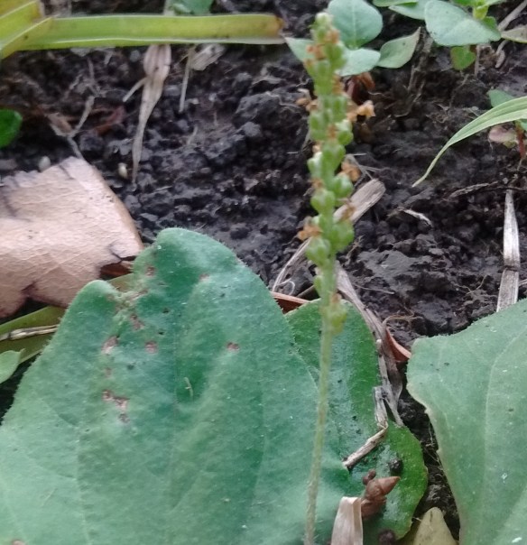 IMG_20190911_181050337