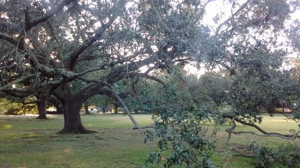 IMG_20190911_181133356