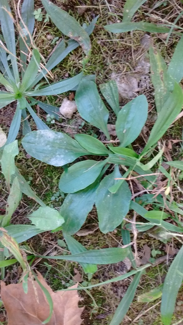 IMG_20191002_120804021