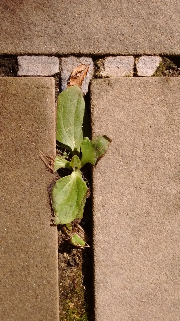 IMG_20191023_131858924_Pittsburgh