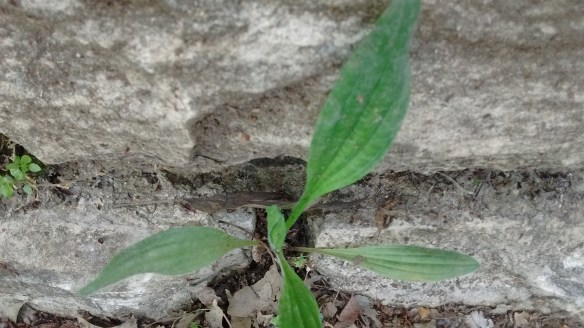 IMG_20200523_125258476