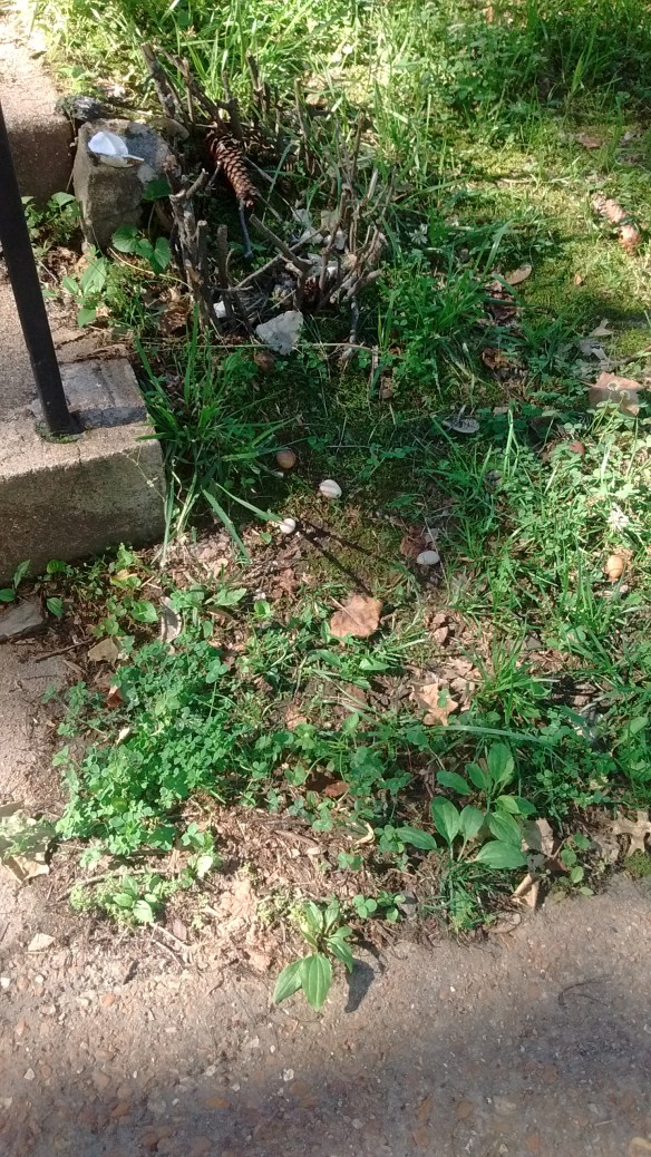 IMG_20200531_165319669